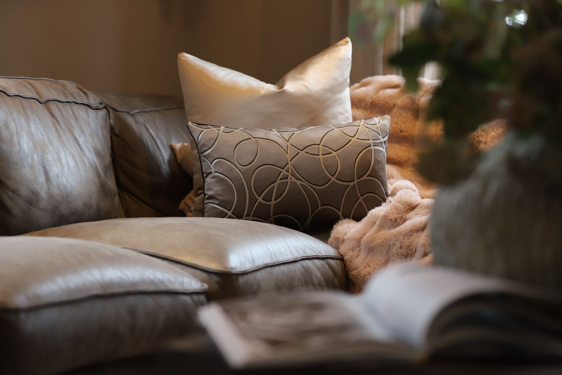 Hero afbeelding Bliss The Label - gouden kussen op bank